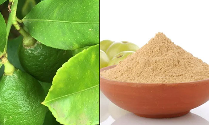 Telugu Amla Powder, Beard, Coconut Oil, Tips, Lemon, White Beard, White-Telugu H