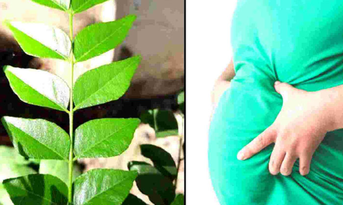  Do You Know The Benefits Of Drinking Curry Leaves Water In The Morning-TeluguStop.com
