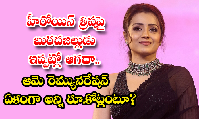 Trisha : హీరోయిన్ త్రిషపై బురదజల్లుడు ఇప్పట్లో ఆగదా.. ఆమె రెమ్యునరేషన్ ...