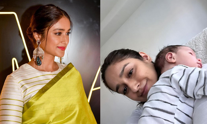 Telugu Bikini, Ileana, Ileana Bikini, Ileana Offers, Tollywood-Movie Telugu Bikini, Ileana, Ileana Bikini, Ileana Offers, Tollywood-Movie