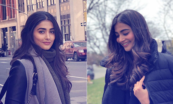 Tollywood Heroine Pooja Hegde With Pizza Photos Viral Tollywood Heroine Pooja Hegde With Pizza Photos Viral-TeluguStop.com