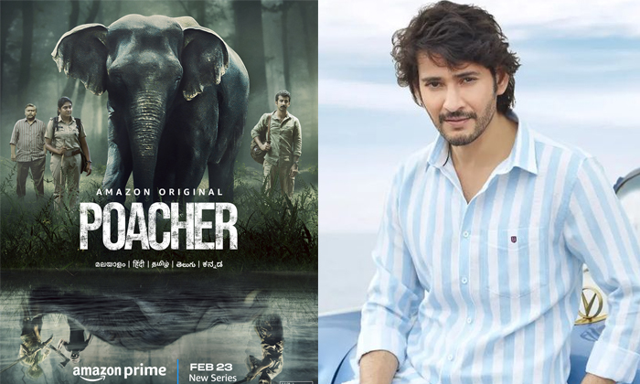  Tollywood Prince Mahesh Babu Review Alia Bhatt Latest Web Series Poacher-TeluguStop.com