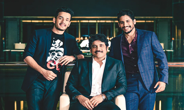Telugu Akhil, Naga Chaitanya, Nagarjuna, Tollywood-Movie Telugu Akhil, Naga Chaitanya, Nagarjuna, Tollywood-Movie
