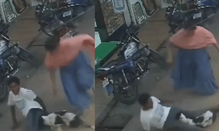  Viral Video Brave Woman Saved Man From Dog Attack-TeluguStop.com