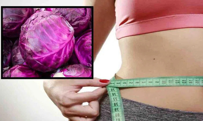  Wonderful Health Benefits Of Purple Cabbage-TeluguStop.com