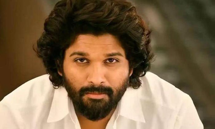  Allu Arjun Plans New Multiplex In Vizag-TeluguStop.com