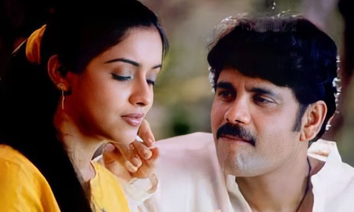 Telugu Asin, Naa Saami Ranga, Nagarjuna, Shivamani, Tollywood-Movie