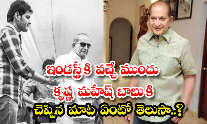  Do You Know What Krishna Said To Mahesh Babu Before Entering The Industry-TeluguStop.com