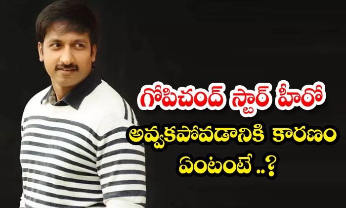  What Is The Reason Why Gopichand Did Not Become A Star Hero Tollywood-TeluguStop.com