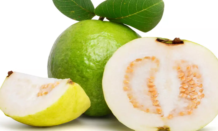 Telugu Guava Benefits, Guava, Fall, Healthy, Latest, Thick, Guava Healthy-Telugu