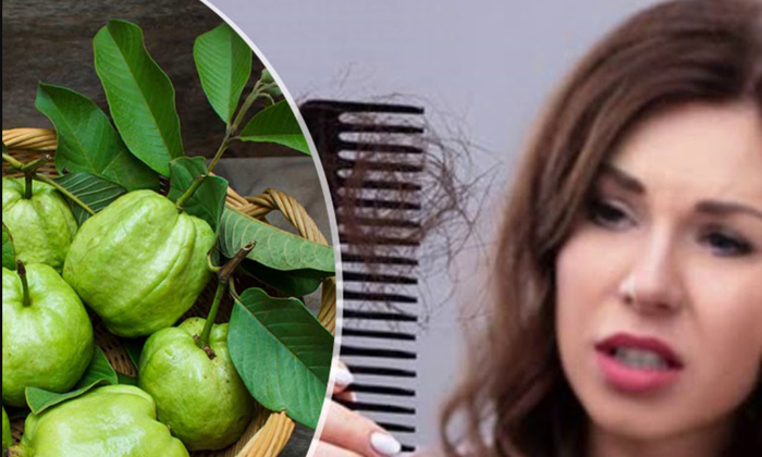  Try This Guava Mask For Healthy And Strong Hair-TeluguStop.com