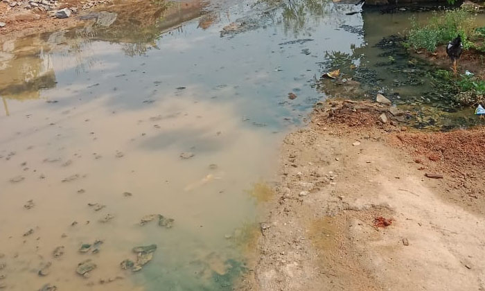  Sewage Flowing In The Streets...!-TeluguStop.com