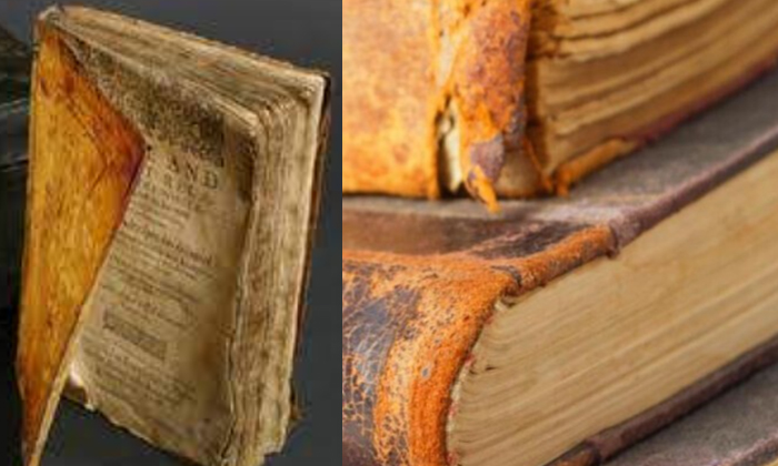  Harvard Library Removes Human Skin Binding From 19th Century Book-TeluguStop.com