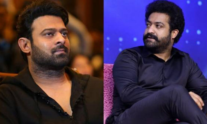 Ntr : ఎన్టీయార్ చేయాల్సిన ఆ సిని Ntr : ఎన్టీయార్ చేయాల్సిన ఆ సిని-TeluguStop.com