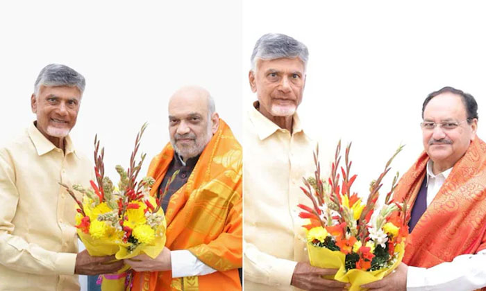 Telugu Ap, Apcbn, Tdp Bjp Nda, Jp Nadda, Pavan Kuna-Politics