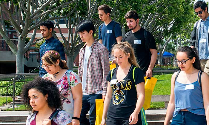 Telugu Calinia Federal, Calinia, Csu Long Beach, Discriminatory, Indianorigin-Te