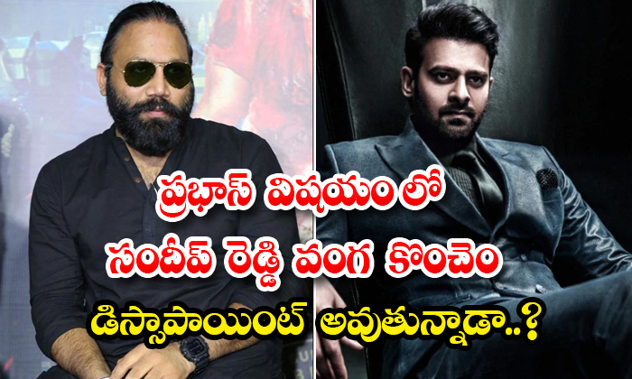  Is Sandeep Reddy Vanga Getting A Bit Disappointed In Prabhas Matter-TeluguStop.com