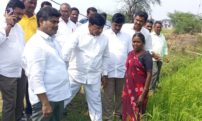  Former Mp Of Karimnagar Inspected The Damaged Crop Fields , Mustabad Mandal, Kal-TeluguStop.com