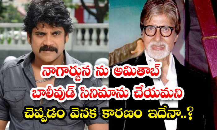 S This The Reason Behind Amitabh Asking Nagarjuna To Do A Bollywood Film S This The Reason Behind Amitabh Asking Nagarjuna To Do A Bollywood Film-TeluguStop.com