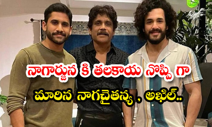  Nagarjuna : నాగార్జున కి తలకాయ నొప్ప�-TeluguStop.com