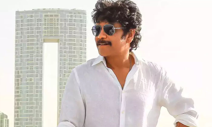 S This The Reason Behind Amitabh Asking Nagarjuna To Do A Bollywood Film-Nagarj S This The Reason Behind Amitabh Asking Nagarjuna To Do A Bollywood Film-Nagarj-TeluguStop.com