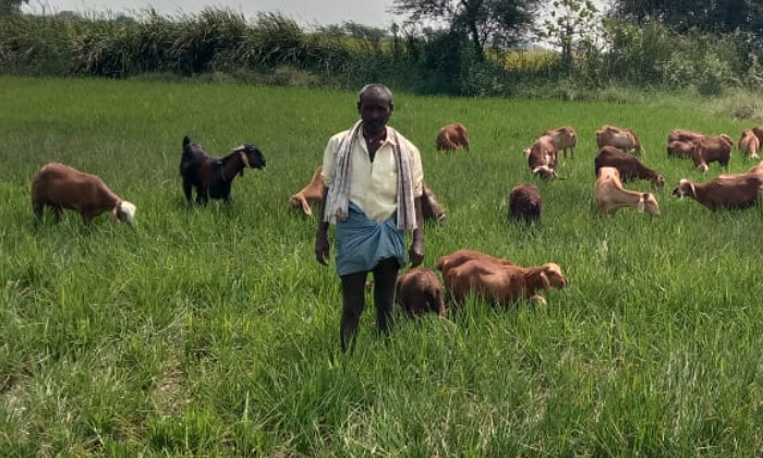  Nalgonda Farmer Problems-TeluguStop.com