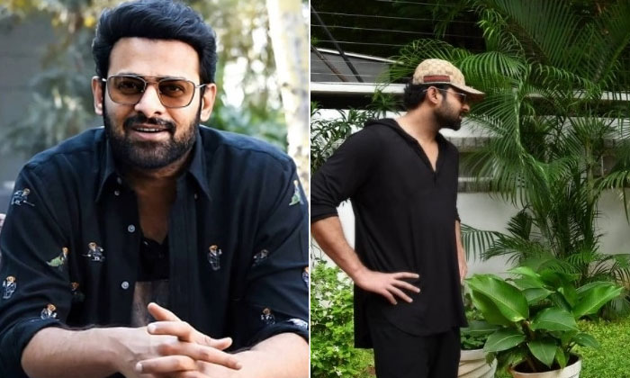  Prabhas Do That Work With Prabhas Remuneration Full Details Inside-TeluguStop.com