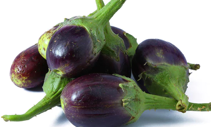  These Are The Good Seed Types That Give High Yield In Eggplant-TeluguStop.com