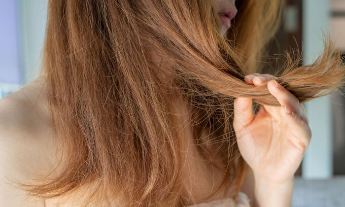 Try This Natural Remedy For Repairing Dry Hair 2 Try This Natural Remedy For Repairing Dry Hair 2-TeluguStop.com