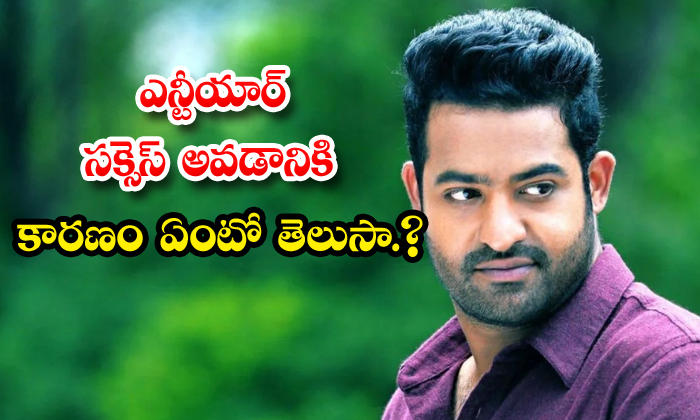  Junior Ntr Success Secret-TeluguStop.com