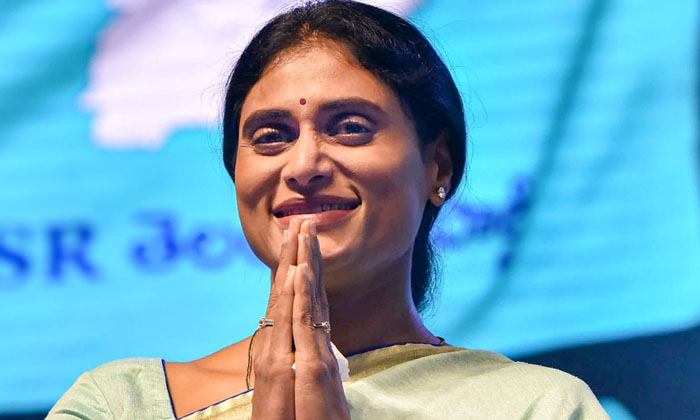  Sharmila Gave A Hint From Where To Compete-TeluguStop.com