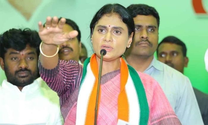  Huge Shock To Sharmila In Kadapa Elections Details Here Goes Viral In Social Me-TeluguStop.com