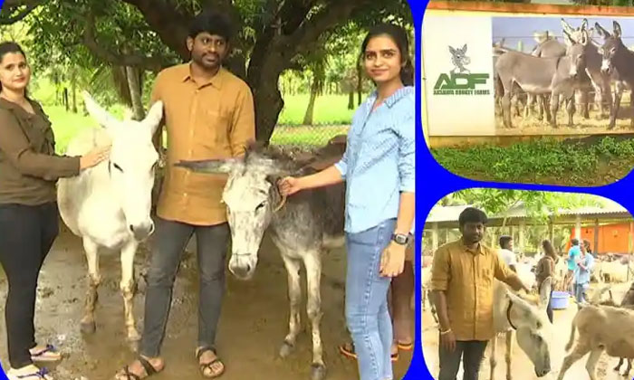 Telugu Cosmetics, Donkey Milk, Kiran, Navya, Pharma-Inspirational Storys