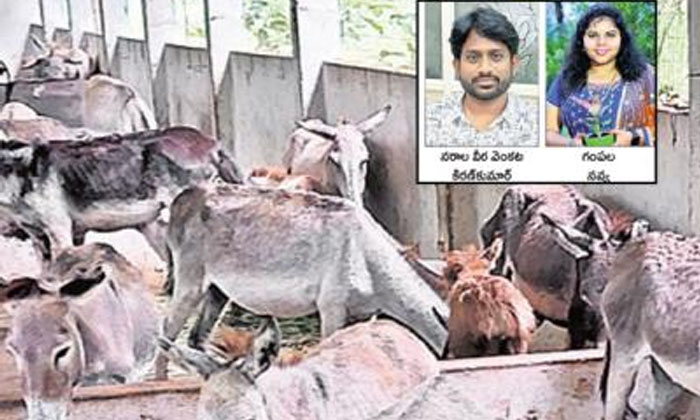 Telugu Cosmetics, Donkey Milk, Kiran, Navya, Pharma-Inspirational Storys