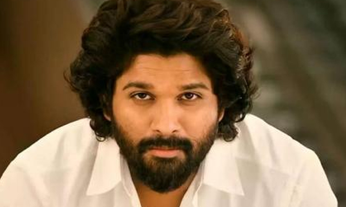  Latest News About Icon Star Allu Arjun 2-TeluguStop.com