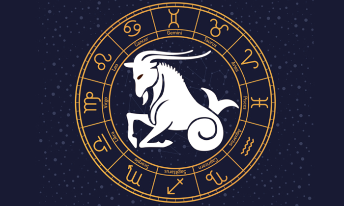Telugu Aquarius, Astrology, Problems, Horoscope, Kuja Graha, Kuja Shanidev, Luck