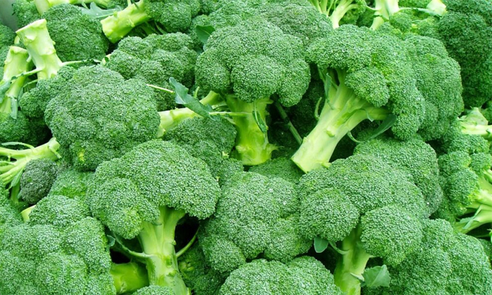  Broccoli Cultivation : బ్రోకలీ పంట విత్తుకు-TeluguStop.com