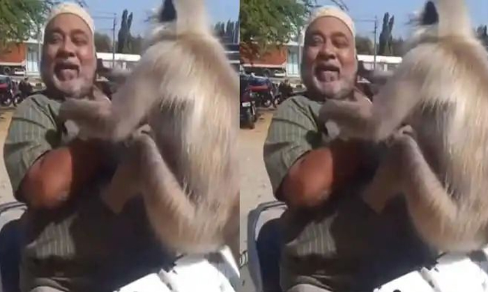  Monkey Not Leaving Old Man Scooty Funny Video Viral-TeluguStop.com