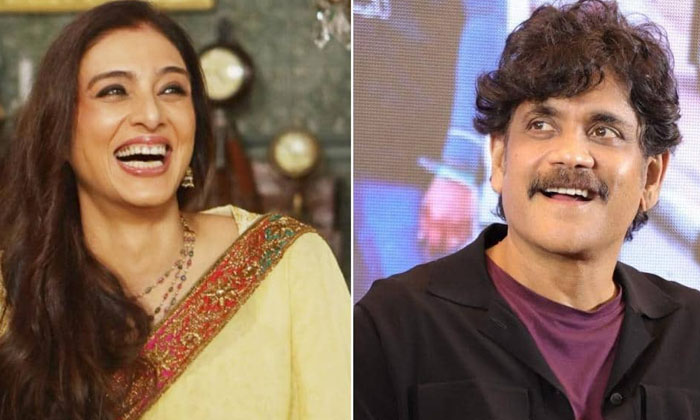 Telugu Amala, Divorce, Laxmi, Nagarjuna, Nagarjuna Tabu, Tabu, Tollywood-Telugu
