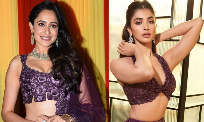  Tollywood Heroines In Bollywood Pooja Hegde Pragya Jaiswal-TeluguStop.com