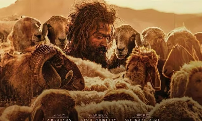 Telugu Aadu Jeevitham, Amala Paul, Ar Rahman Bgm, Blessy, Goat, Prithviraj-Movie Telugu Aadu Jeevitham, Amala Paul, Ar Rahman Bgm, Blessy, Goat, Prithviraj-Movie