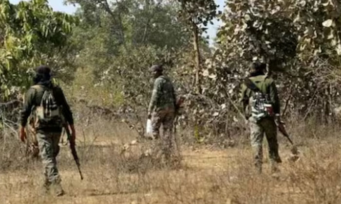  Chhattisgarh - Maharashtra Border Encounter.. 8 Maoists Killed ,encounter, Chhat-TeluguStop.com