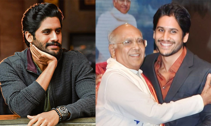  Akkineni And Naga Chaitanya Struggles For Hit Details, Akkineni Nageswara Rao, A-TeluguStop.com