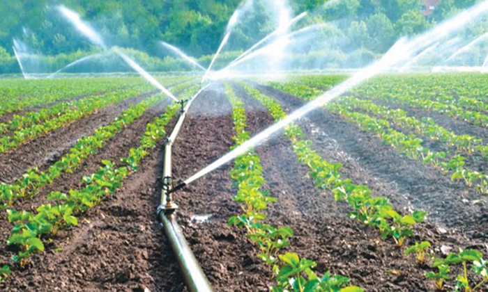  Benefits Of Micro Irrigation Systems In Farming Details, Micro Irrigation, Micr-TeluguStop.com