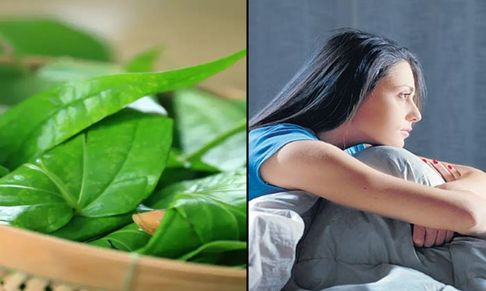  If You Put Betel Leaves Under Your Pillow And Sleep Are There So Many Benefits-TeluguStop.com