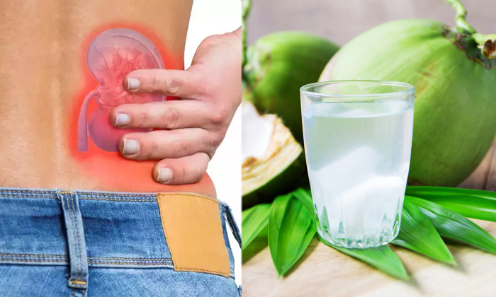  Can We Drink One Liter Of Coconut Water In A Day Or Will It Have Any Bad Effect-TeluguStop.com