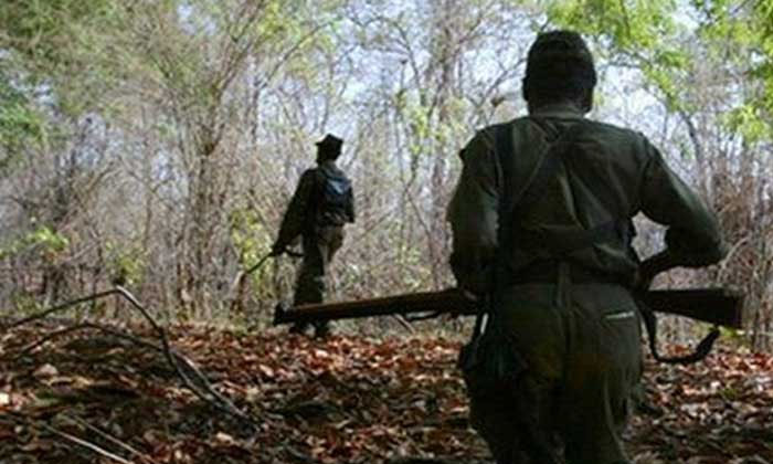 Telugu Naxalites, Beejapur, Bijapur, Chhattisgarh, Toll, Number-Latest News - Te