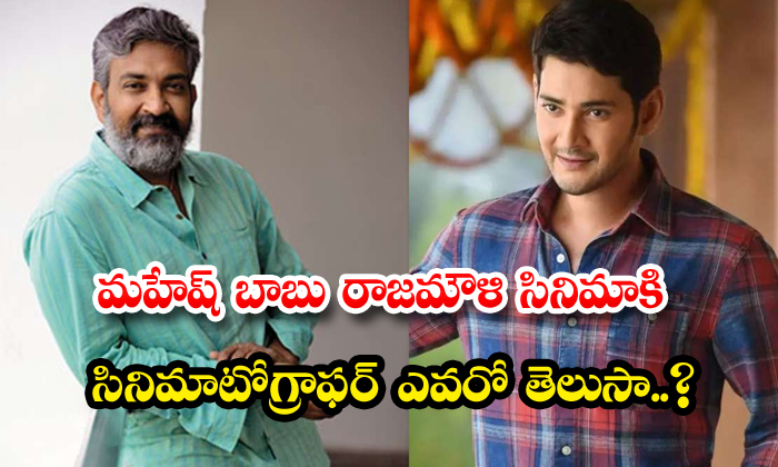  Do You Know Who Is The Cinematographer Of Mahesh Babu Rajamouli Movie , Mahesh-TeluguStop.com