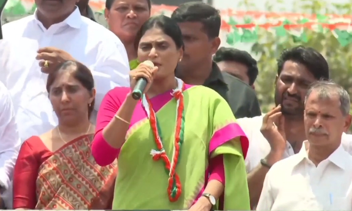  Election Campaign Of Apcc Chief Ys Sharmila Reddy Is Going On In Kadapa Distric-TeluguStop.com