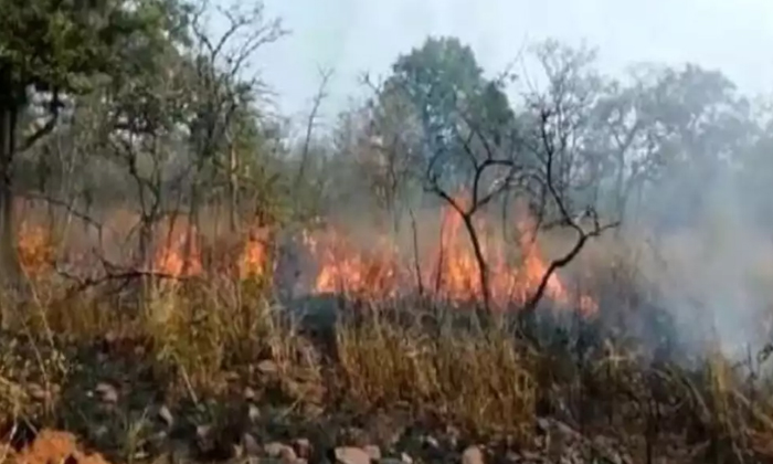  Fire Breaks Out At Nallamala Forest,nallamala Forest,fire,forest Officials-TeluguStop.com